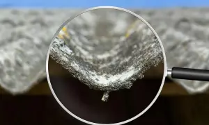 Zbliżenie na falistą, szarą płytę eternitową, pokazujące jej chropowatą teksturę i fragmenty porostów. Tak wygląda azbest pod lupą.