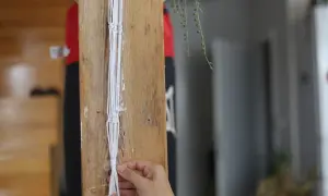 Jak zrobić kwietnik na ścianę? DIY: drewno, makrama, kratka!