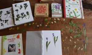 Trockenblumen und ein Buch zum **Herbarium anlegen** liegen bereit. Kleine Blüten und Blätter warten darauf, in ein Buch geklebt zu werden.