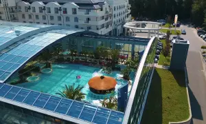 Relaks w basenie pod szklanym dachem w Kielcach Binkowski. Tropikalne rośliny, bar i jacuzzi tworzą wakacyjny klimat.