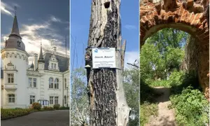 Najciekawsze atrakcje w Jelczu-Laskowicach, które warto poznać