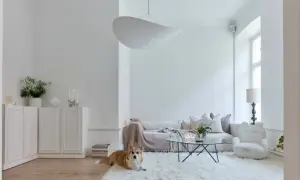 Ein Corgi liegt auf einem flauschigen, weißen Teppich in einem hellen Wohnzimmer. Die Wände und Möbel sind in der Farbe weiß gehalten.