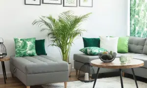 Nowoczesny, zielony salon z szarą sofą, poduszkami w liście i dużą palmą.
