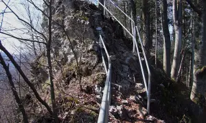 Kamienna ścieżka z poręczą w lesie, prowadząca po skalistym zboczu.