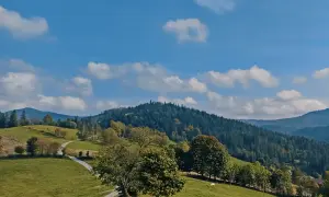 Zielony krajobraz Beskidów z krętą drogą, drzewami i lasem na wzgórzach. To jeden z najpiękniejszych szlaków w Beskidach.