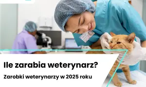 Weterynarz: jak nim zostać? Studia, kariera, zarobki 2026.