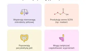 Probiotyk na zaparcia wspiera równowagę mikrobioty, poprawia perystaltykę jelit i może zwiększać częstotliwość wypróżnień.