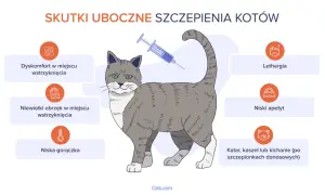 Ilustracja przedstawia kota po szczepieniu, z ikonami opisującymi skutki uboczne: dyskomfort, obrzęk, gorączka, apatia, brak apetytu, katar.