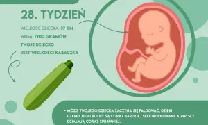 28. tydzień ciąży: 7. miesiąc i III trymestr co musisz wiedzieć?