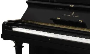 Część czarnego fortepianu z widocznymi klawiszami i złotym logo Steinway & Sons.
