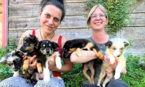 Zwei Frauen halten jeweils mehrere niedliche Welpen. Sie lächeln und wirken glücklich, als ob sie sich über die kleinen Hunde freuen, die sie auch in Not gerettet haben könnten.