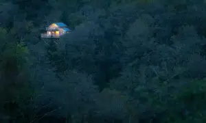 Un charmant **logement atypique en Bretagne**, perché au milieu d'une forêt dense et sombre, illuminé par des lumières chaudes.