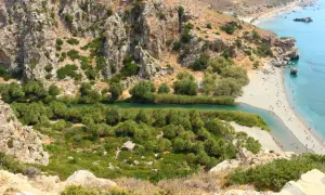 Malowniczy widok na plażę Preveli z rzeką, palmami i turkusowym morzem.