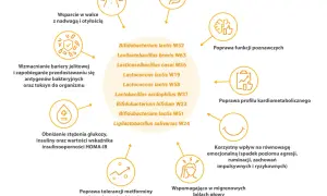 Schemat przedstawiający korzyści z probiotyków: wsparcie w walce z nadwagą, ochrona jelit, poprawa funkcji poznawczych.