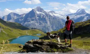Wanderer mit Hund genießen atemberaubende Aussicht im Berner Oberland. Bergpanorama mit Seen und Gipfeln.