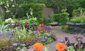 En lummig trädgård med en gång av tegelstenar. Här har någon valt att plantera blommor i en färgsprakande blandning av lila, orange och vitt.