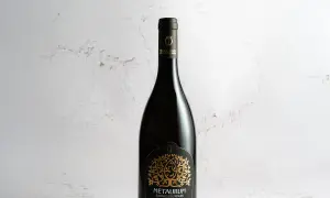 Bottiglia di Bianchello del Metauro Terra Cruda, con etichetta dorata su sfondo chiaro.