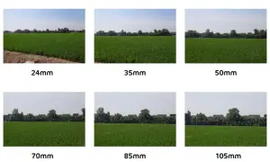 Sei immagini di un campo di riso con diverse lunghezze focali, da 24mm a 105mm, che mostrano l'effetto di un obiettivo per ritratti.