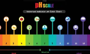 Die pH-Wert-Skala zeigt mit Farben und Symbolen von sauer (rot) über neutral (grün) bis alkalisch (lila) die Säuregrade verschiedener Substanzen.