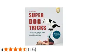 Buchcover "Super Dog Tricks" von Sara Carson. Ein Hund steht auf den Füßen einer Frau, die auf dem Rücken liegt. Die Anleitung verspricht Hundetricks von einfach bis super schwierig.
