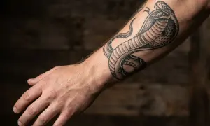 Drapieżny tatuaż old school z wężem na przedramieniu.