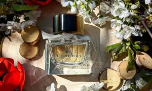 Perfumy My Burberry w eleganckiej, szklanej butelce, otoczone kwitnącymi gałązkami i czerwonymi kwiatami.