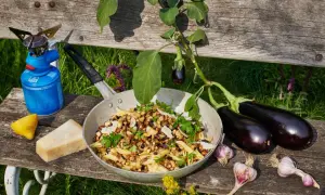 Pasta melanzane mit frischen Auberginen, Knoblauch und Parmesan. Ein Campingkocher und Zitrone deuten auf ein Outdoor-Mahl hin.