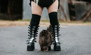 Puszysty kotek między butami w stylu emo.