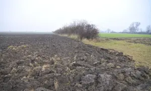 Pola uprawne po orce, zarośla i zielone pastwisko. Zastanawiasz się, ile kosztuje hektar ziemi w takiej okolicy?