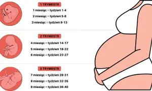 Morfologia a ciąża: Fakty i mity o rozpoznawaniu ciąży