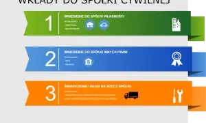 Wkłady do spółki cywilnej: własność (nieruchomości, samochody), inne prawa (akcje, obligacje) lub świadczenie usług (transport, produkcja mebli).