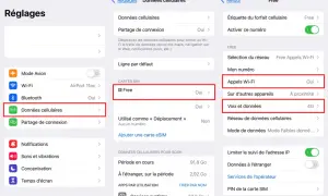 Paramètres du téléphone : activer VoLTE Free. L'image montre les réglages pour activer VoLTE sur un iPhone avec la carte SIM Free.