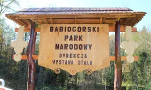 Zawoja atrakcje, które zaskoczą każdego turystę w Beskidach