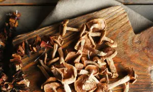 Getrocknete Pilze auf einem Holzbrett, bereit zum Kochen. Das Trocknen von Pilzen ist eine tolle Methode, um ihren Geschmack zu konservieren.