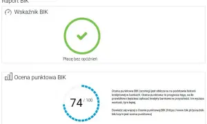 BIK: Jak sprawdzić swoją historię kredytową i zwiększyć szanse na kredyt?