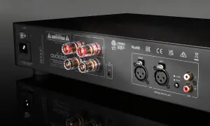 Tylna ścianka wzmacniacza mocy Audiolab 9000P z terminalami głośnikowymi, wejściami XLR i RCA.