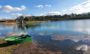 Zielona łódka czeka nad spokojnym jeziorem, idealnym na łowisko u karasia. W tle las i błękitne niebo z chmurami.