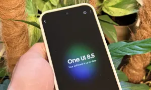 Telefon z One UI 8.5, informujący o aktualności oprogramowania, otoczony zielenią roślin.