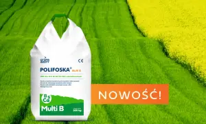 Worek nawozu Polifoska Multi B na tle zielonych i żółtych pól. Nowość dla roślin!