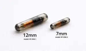 Dwa chipy dla psa: większy 12 mm i mniejszy 7 mm, oba w szklanej kapsułce z widocznym miedzianym uzwojeniem.