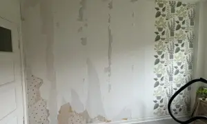 Väggen är delvis avskalad, en del tapet sitter kvar. En ny tapet med gröna växter är på väg att måla på tapet eller riva.
