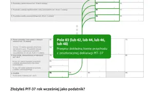 Gdzie sprawdzić rozliczenie PIT? Odkryj, jak uniknąć błędów w deklaracji