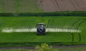 Traktor opryskuje pole środkiem zawierającym chlopyralid, dbając o zdrowie upraw.