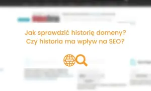 Audyt domeny: jak sprawdzić historię, właściciela i SEO przed zakupem?