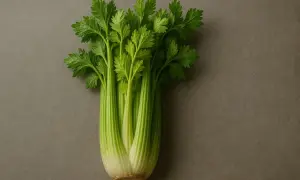 Pęczek świeżego selera na szarym tle. Czy pies może jeść seler? Tak, ale w umiarkowanych ilościach.