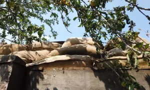 Sacs de sable empilés, rappelant les tranchées. Combien reste-t-il de survivants de la Première Guerre mondiale ? L'arbre fruitier au-dessus symbolise la vie qui continue.
