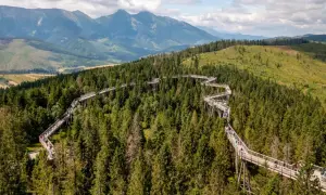 Ścieżka w koronach drzew w Bachledce – jedna z najpiękniejszych słowackich atrakcji blisko granicy, z widokiem na Tatry.