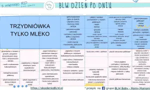Menu dla 8-miesięcznego dziecka: ile posiłków dla 8 miesięcznego dziecka? Tabela BLW pokazuje różnorodne propozycje.