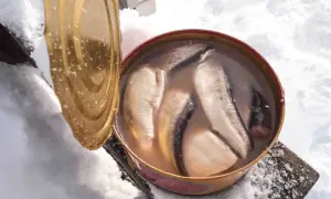 Otwarta puszka pełna kiszonych śledzi, stojąca na śniegu.