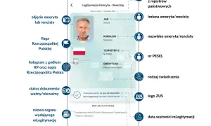 Renta rodzinna: Jak legitymacja rencisty daje zniżki na transport?